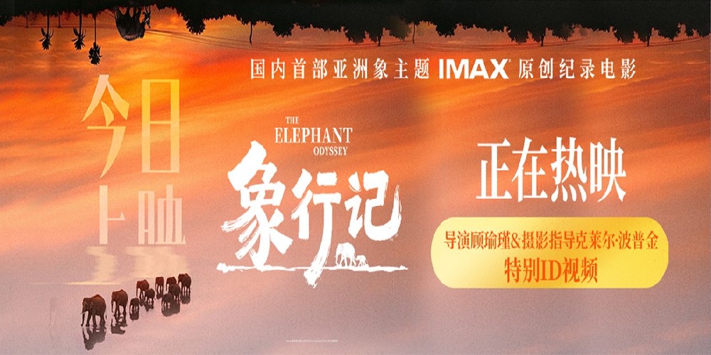 纪录电影《象行记》今日上映，奔赴雨林聆听生命回响